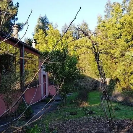 Hotel Fuer 9 Personen Und 1 Kind In Lapido, Galicien Binnenland Von Galicien *